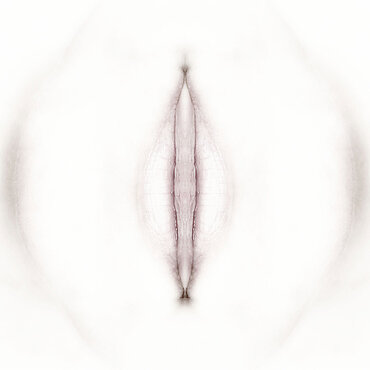 Fotokunst aus der Serie "EVADAM" Fotokunst aus der Serie "EVADAM"
