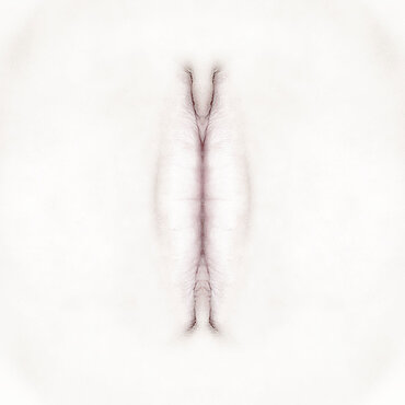 Fotokunst aus der Serie "EVADAM" Fotokunst aus der Serie "EVADAM"