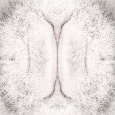 Fotokunst aus der Serie "EVADAM" Fotokunst aus der Serie "EVADAM"