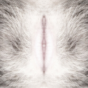 Fotokunst aus der Serie "EVADAM" Fotokunst aus der Serie "EVADAM"