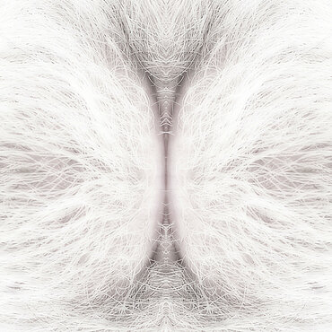 Fotokunst aus der Serie "EVADAM" Fotokunst aus der Serie "EVADAM"