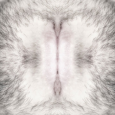 Fotokunst aus der Serie "EVADAM" Fotokunst aus der Serie "EVADAM"