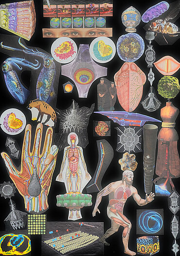 Collage von Werner Buch