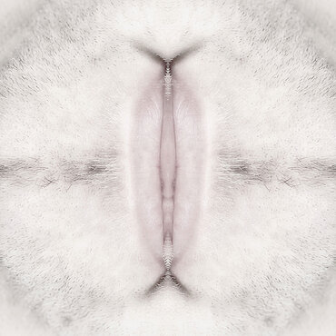 Fotokunst aus der Serie "EVADAM" Fotokunst aus der Serie "EVADAM"